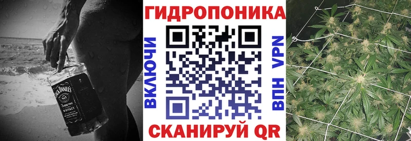 купить наркотики сайты  Тулун  Шишки марихуана Ganja 