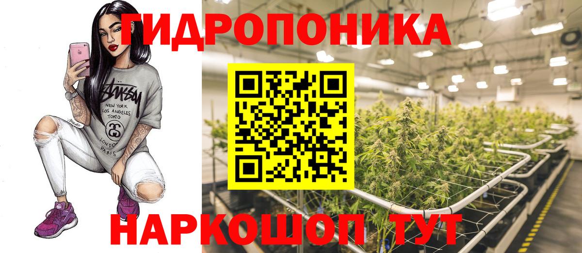 Тулун  Конопля марихуана  Канабис планчик  Марихуана семена  Вход с VPN  Каннабис конопля 